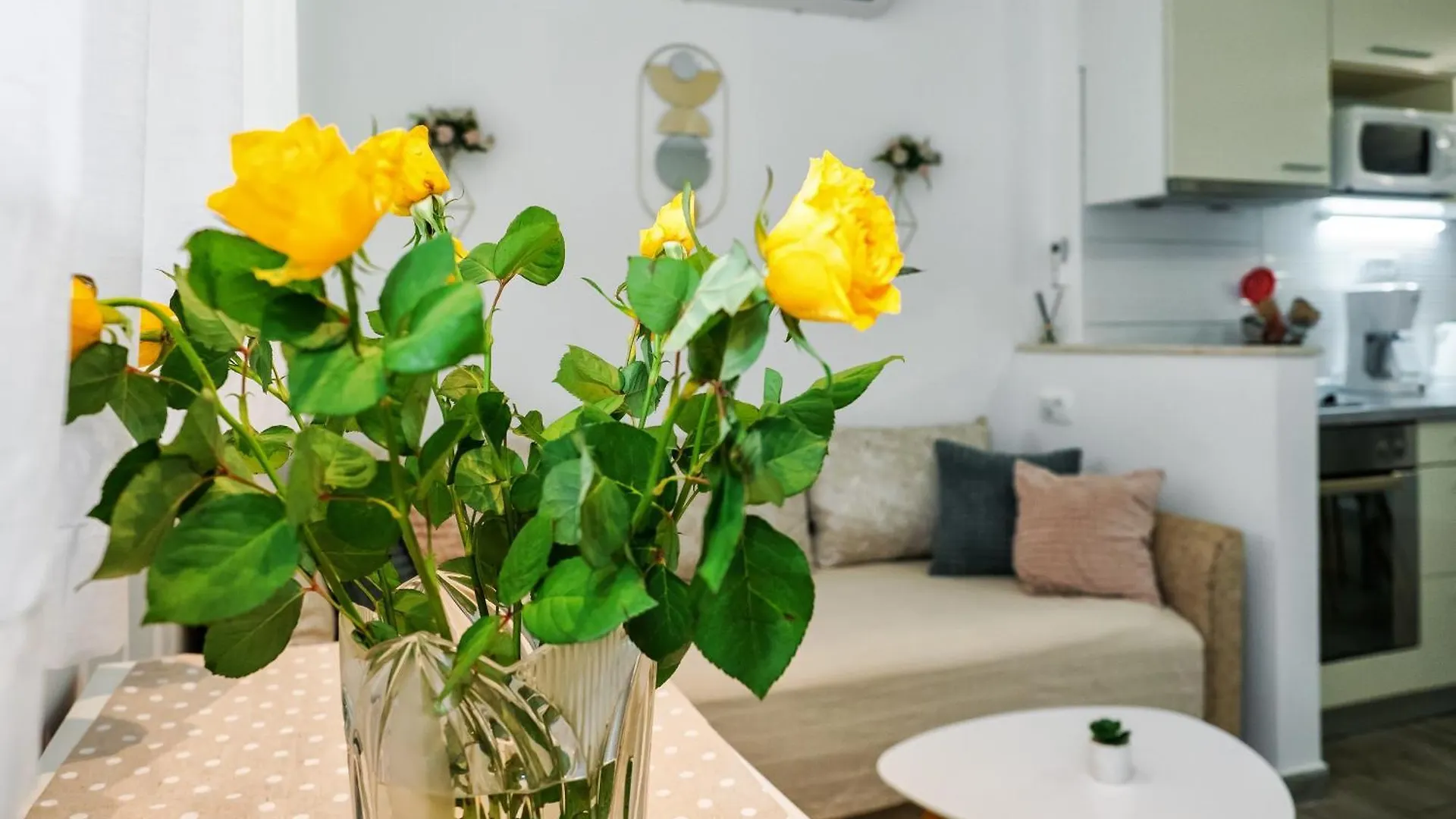Apartmán Green Oasis Split Chorvatsko